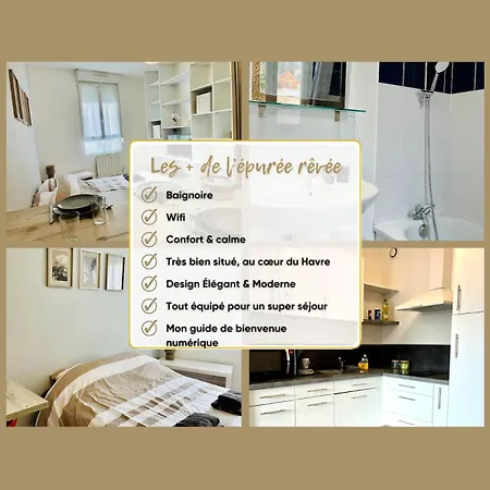 Dalikyda - Le Neustrie - Moderne - *